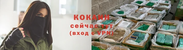 СК Болотное